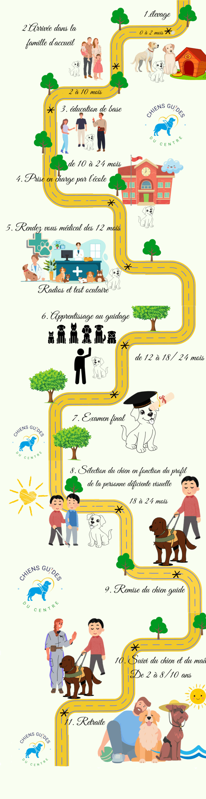 Etapes adoption des chiens