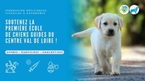 Soutenez la première école de chiens guides du Centre‑Val de Loire et aidez à former les chiens guides de demain